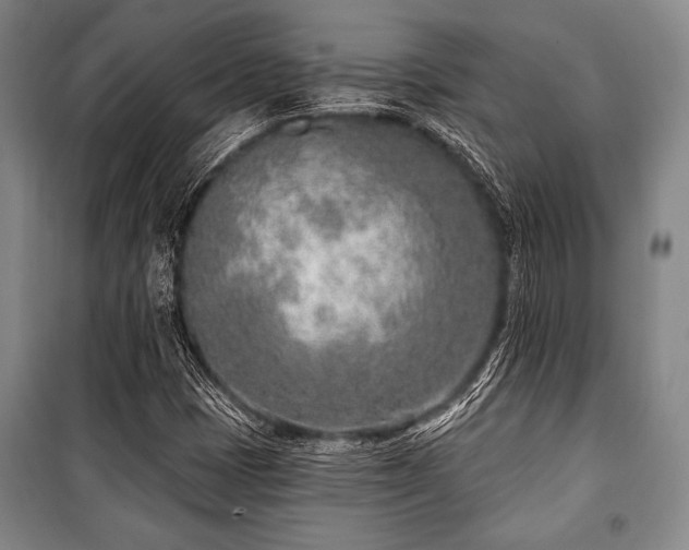 X0000101181401200806271241