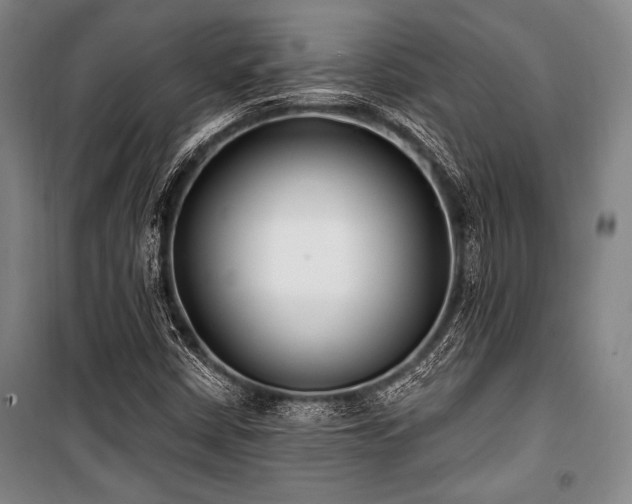 X0000101181402200806271241