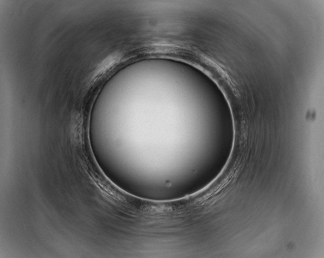 X0000101181403200806271241