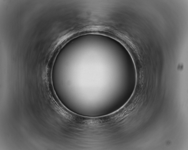 X0000101181404200806271241