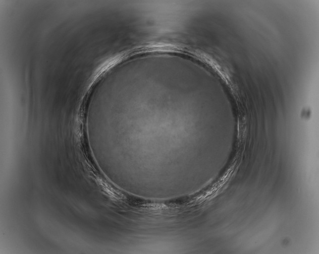 X0000101181405200806271241