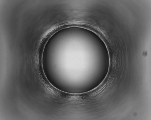 X0000101181406200806271241