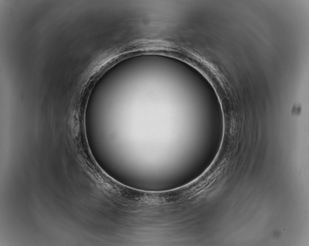 X0000101181407200806271241