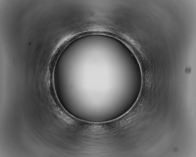 X0000101181408200806271241