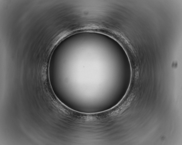 X0000101181409200806271241