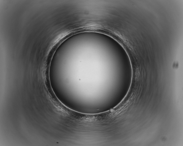 X0000101181410200806271241