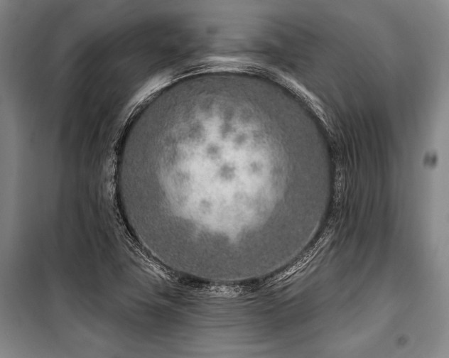 X0000101181411200806271241