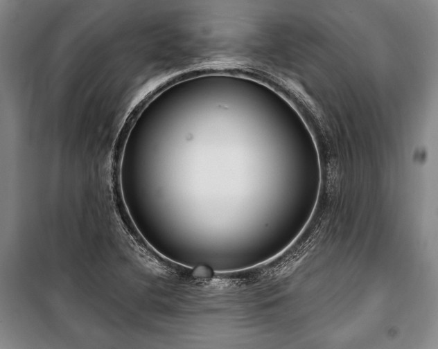 X0000101181412200806271241
