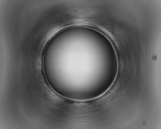X0000101181415200806271241