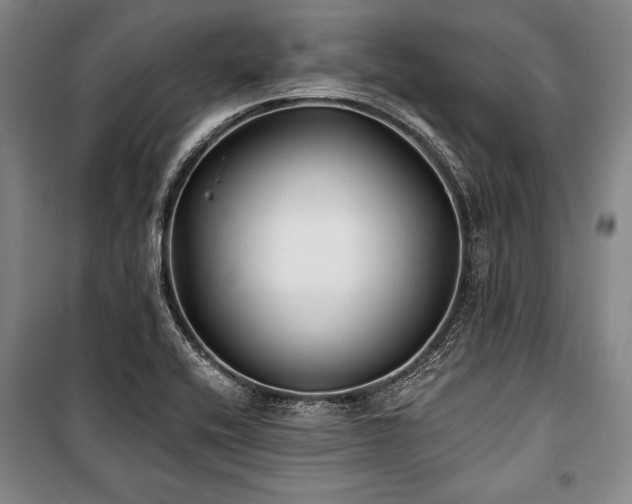 X0000101181416200806271241