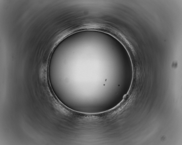 X0000101181417200806271241