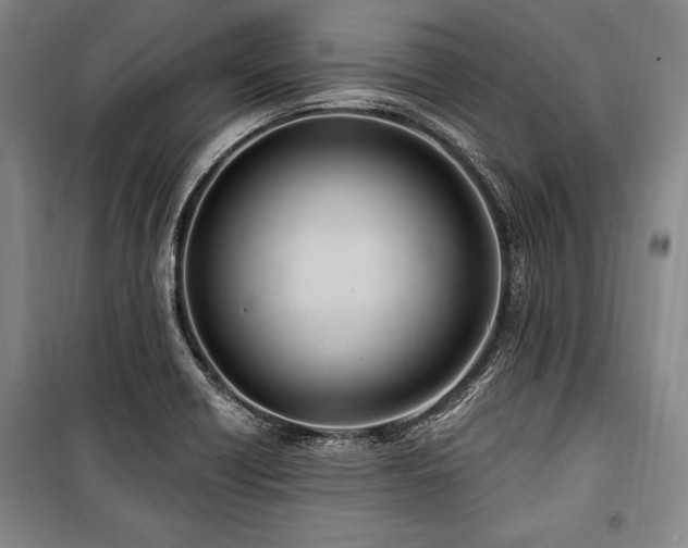 X0000101181418200806271241