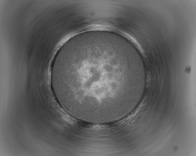 X0000101181419200806271241