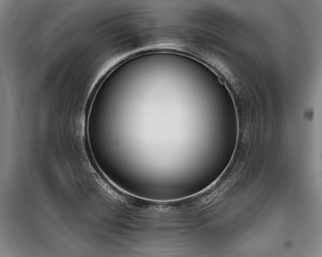 X0000101181420200806271241