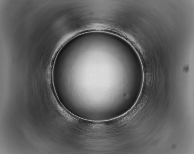 X0000101181421200806271241
