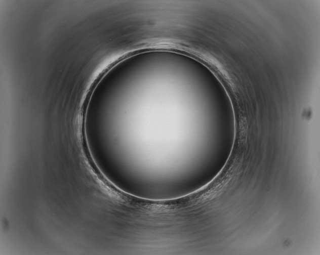 X0000101181424200806271241