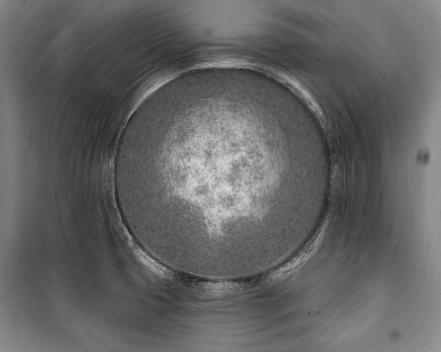 X0000101181425200806271241