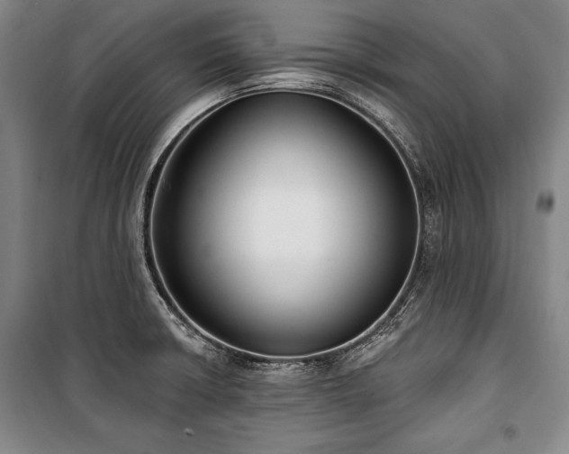 X0000101181426200806271241