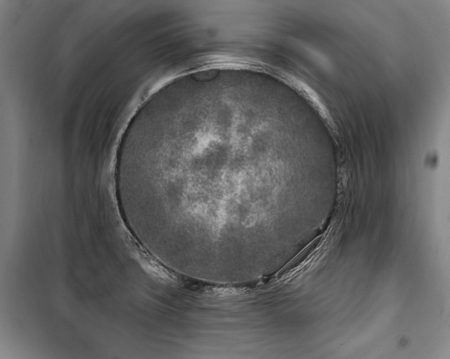 X0000101181427200806271241
