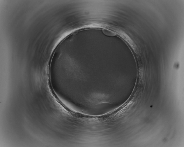 X0000101181428200806271241