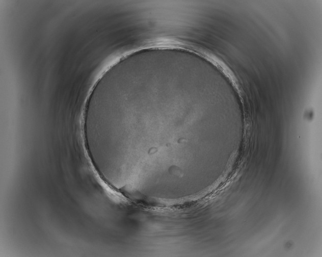 X0000101181429200806271241