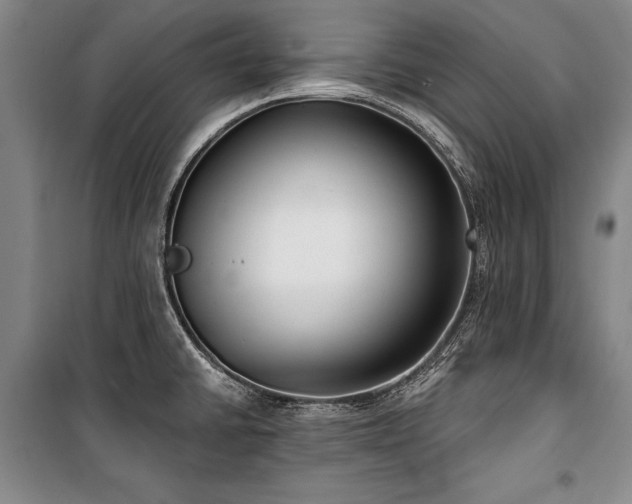 X0000101181430200806271241
