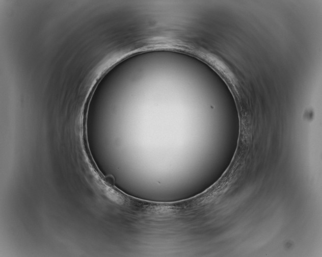 X0000101181431200806271241