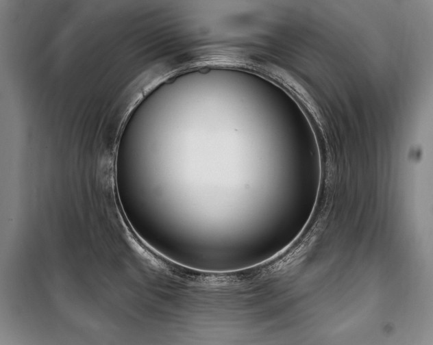 X0000101181433200806271241