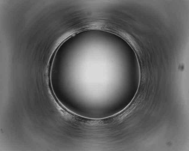 X0000101181434200806271241