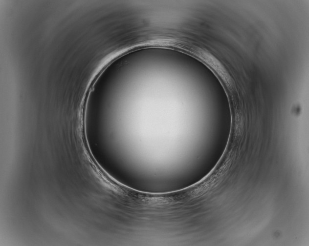 X0000101181436200806271241