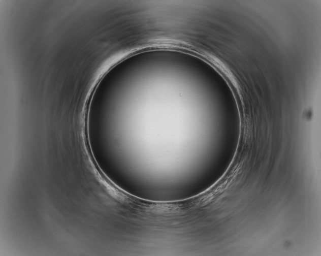 X0000101181437200806271241