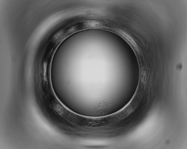 X0000101181439200806271241