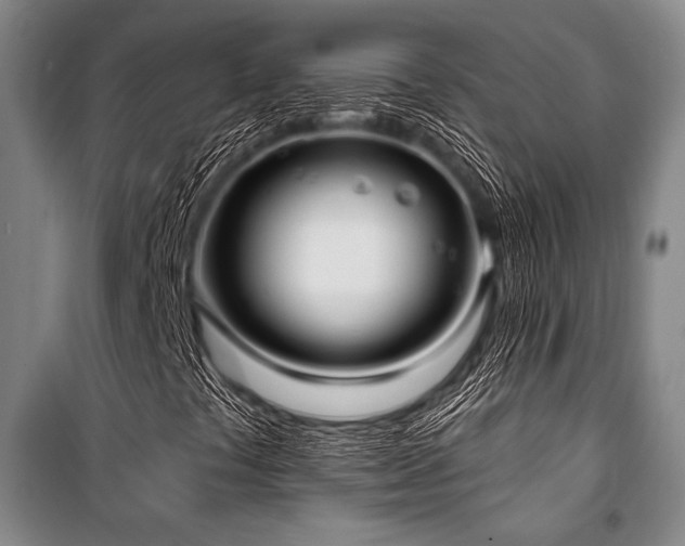 X0000101181441200806271241