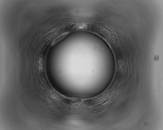 X0000101181442200806271241