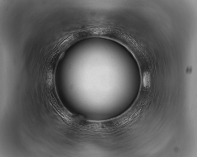 X0000101181444200806271241