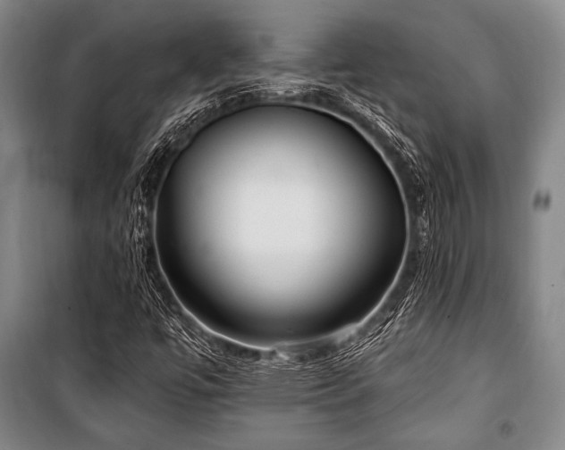X0000101181447200806271240