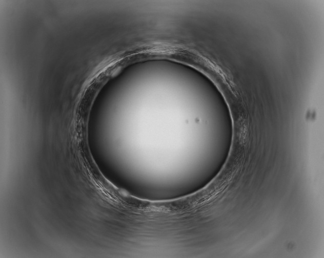 X0000101181448200806271240