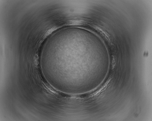 X0000101181449200806271240