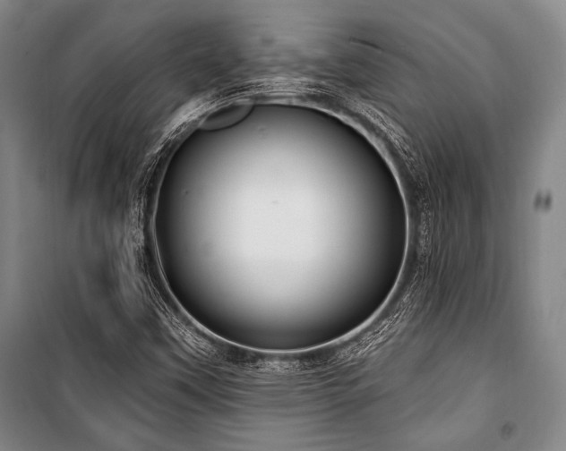 X0000101181451200806271240
