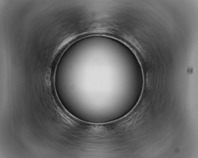 X0000101181452200806271240