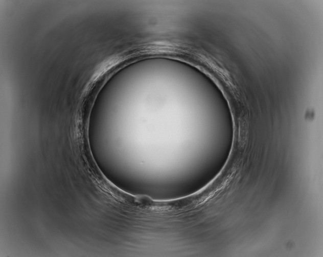 X0000101181453200806271240
