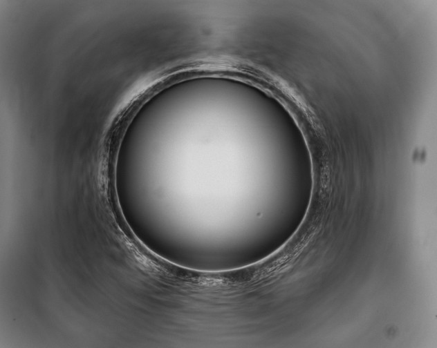 X0000101181456200806271240