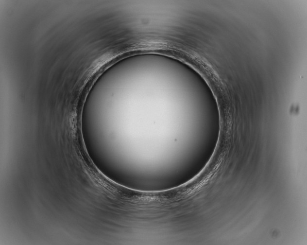X0000101181457200806271240