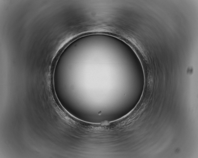 X0000101181460200806271240