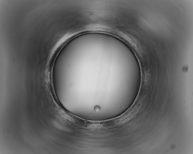 X0000101181462200806271240