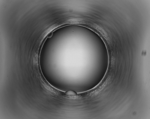 X0000101181465200806271240