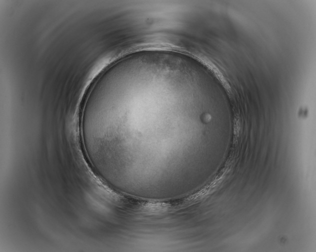 X0000101181466200806271240