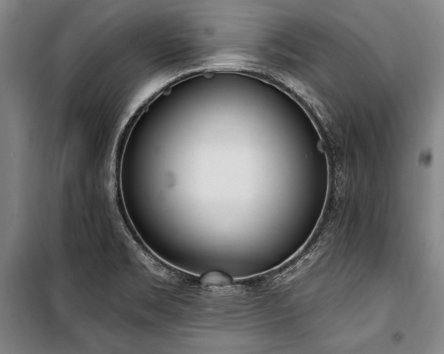 X0000101181469200806271240