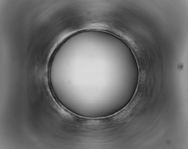 X0000101181470200806271240
