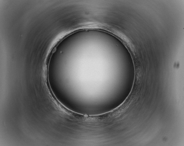 X0000101181472200806271240
